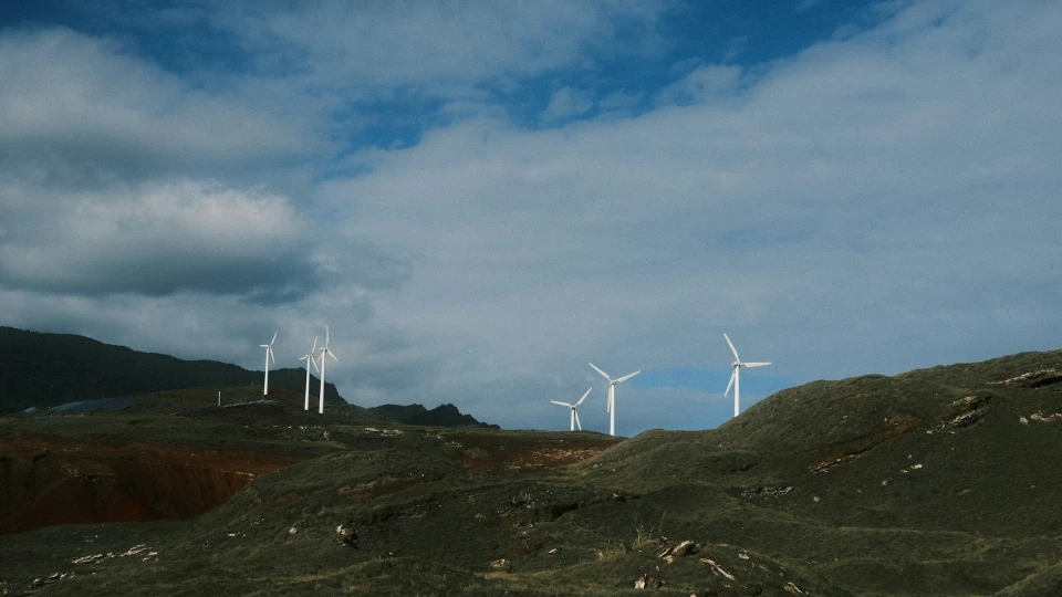 Landscape with wind turbines
